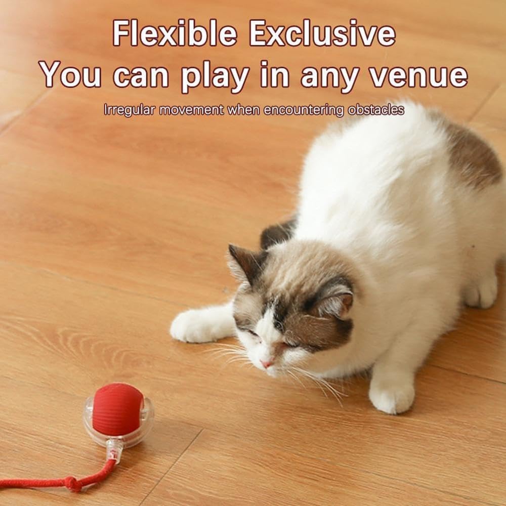 Giocattolo interattivo per gatti, palla elettrica per gatti, giocattolo per gatti, giocattolo elettrico con USB, ricaricabile, 3 modalità di lavoro, 360° Rolling Smart Ball per gatti e cani (rosso)