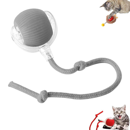 Giocattolo interattivo per gatti, palla elettrica per gatti, giocattolo per gatti, giocattolo elettrico con USB, ricaricabile, 3 modalità di lavoro, 360° Rolling Smart Ball per gatti e cani (rosso)